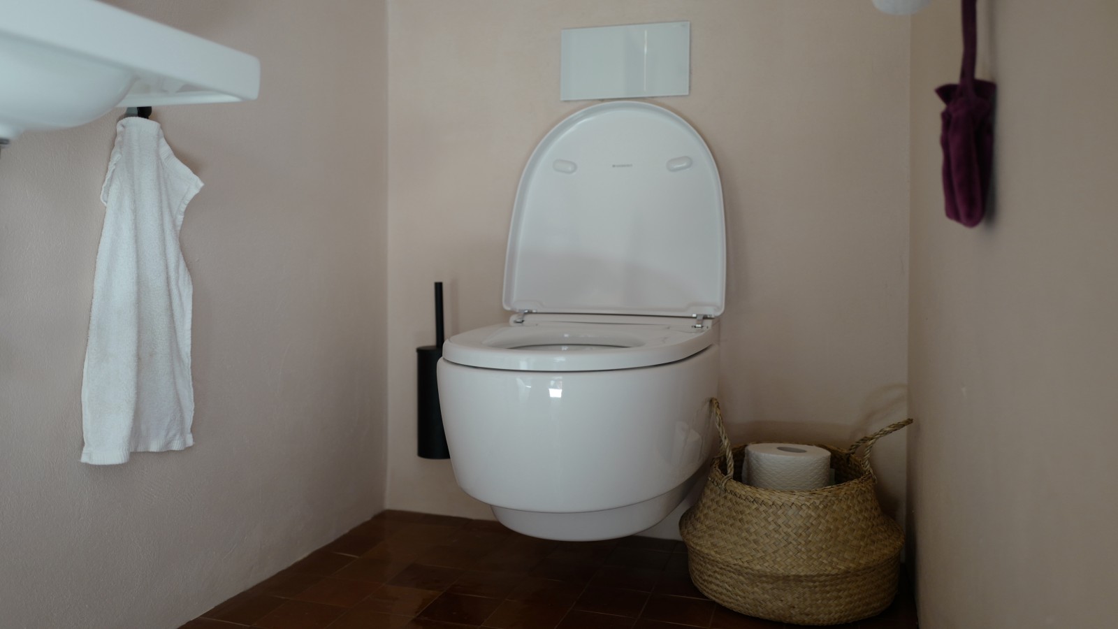 Haus am Hof / Geberit AquaClean Dusch-WC