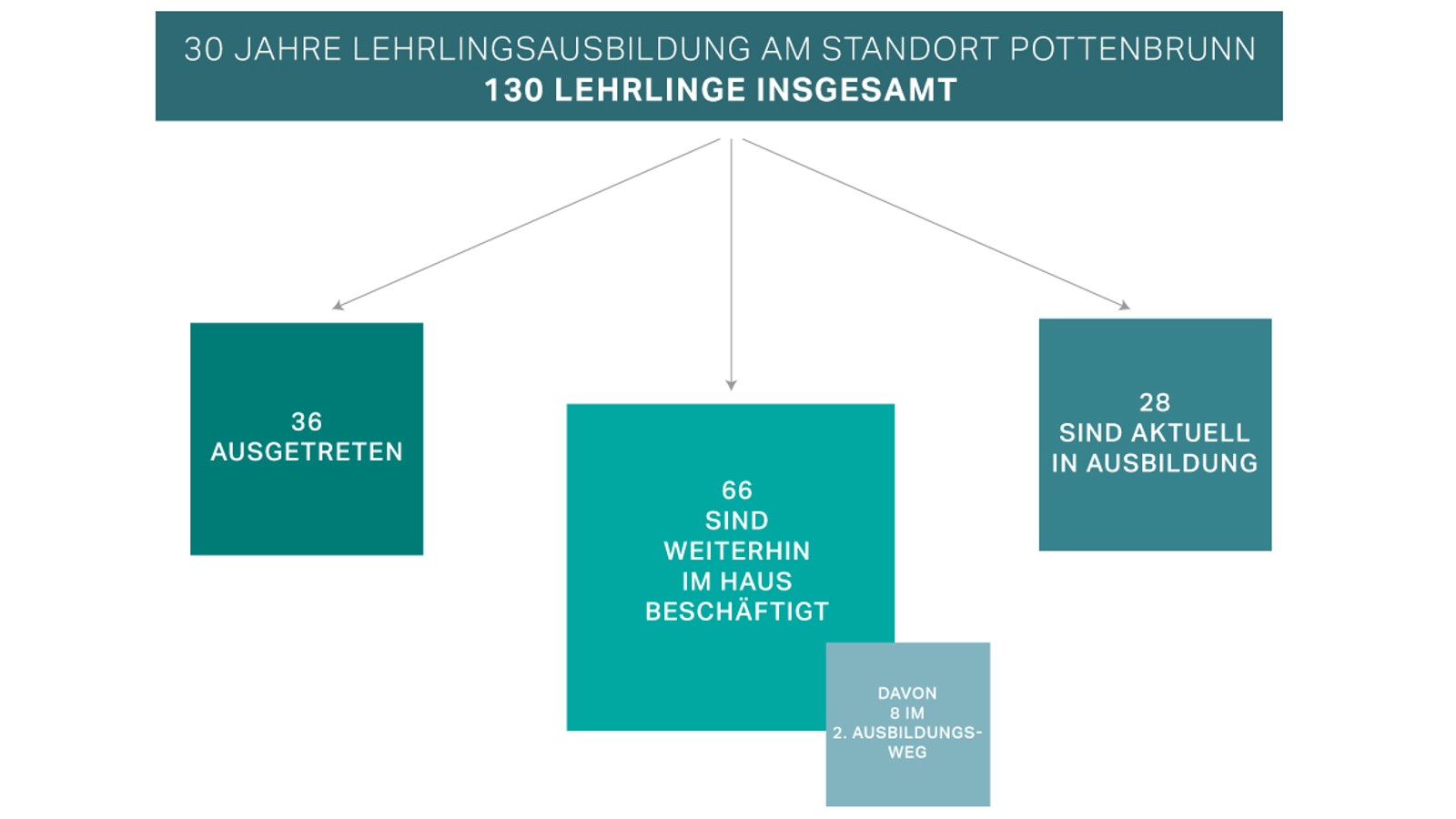 Erfolgreiche Lehrlingsausbildung seit über 30 Jahren