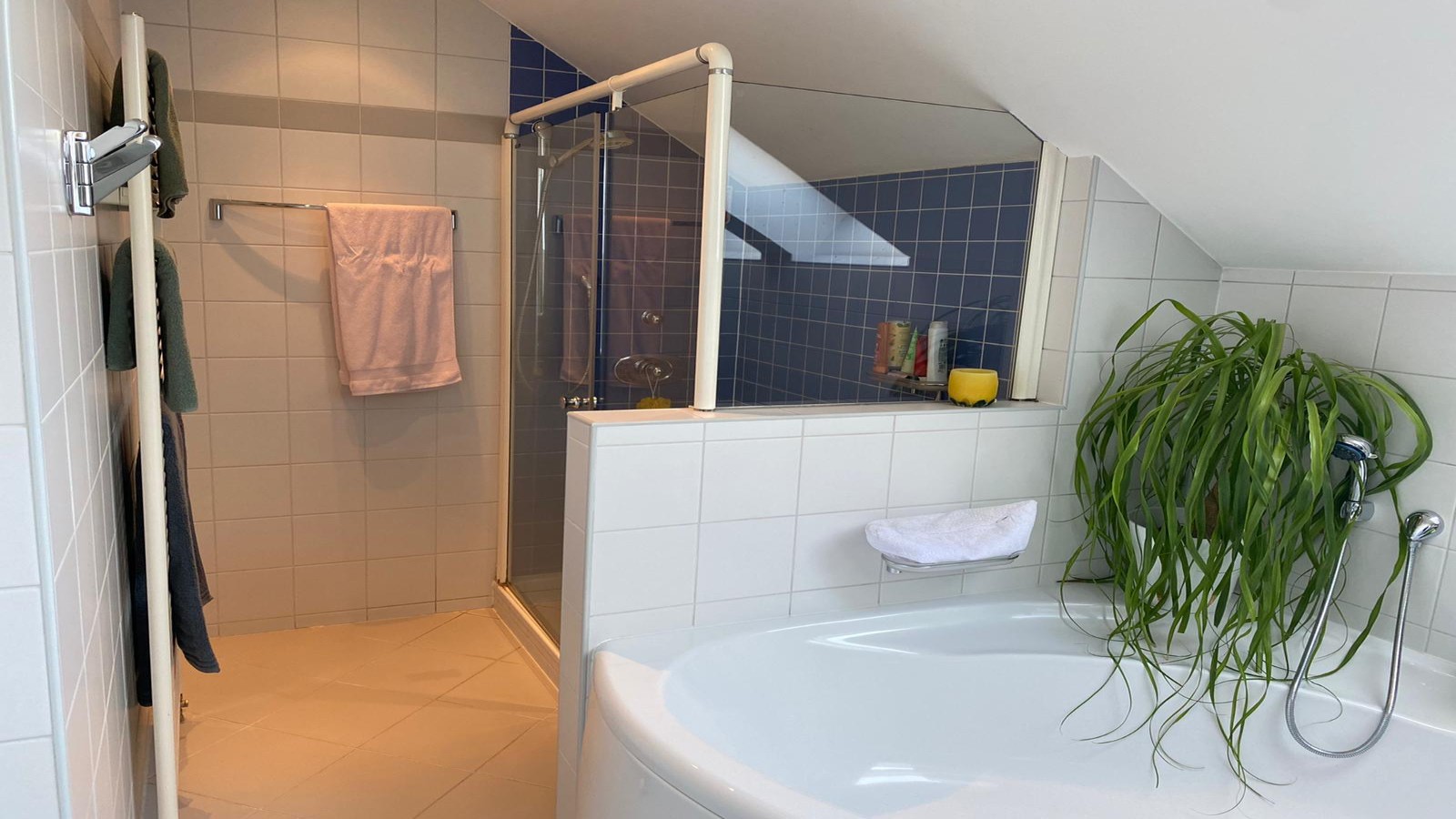 Dusche nach der Badrenovierung Dusche nach der Badrenovierung