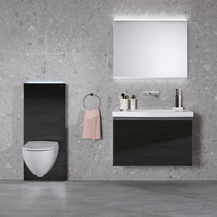 Monolith Plus mit Acanto WC und Waschtisch Monolith Plus mit Acanto WC und Waschtisch