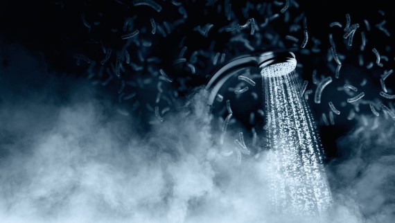 Bakterien vermehren sich im Trinkwasser, wenn sie dafür gute Bedingungen vorfinden Bakterien vermehren sich im Trinkwasser, wenn sie dafür gute Bedingungen vorfinden