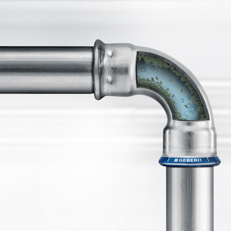 Natürlicher Mikroorganismuss im Trinkwasser