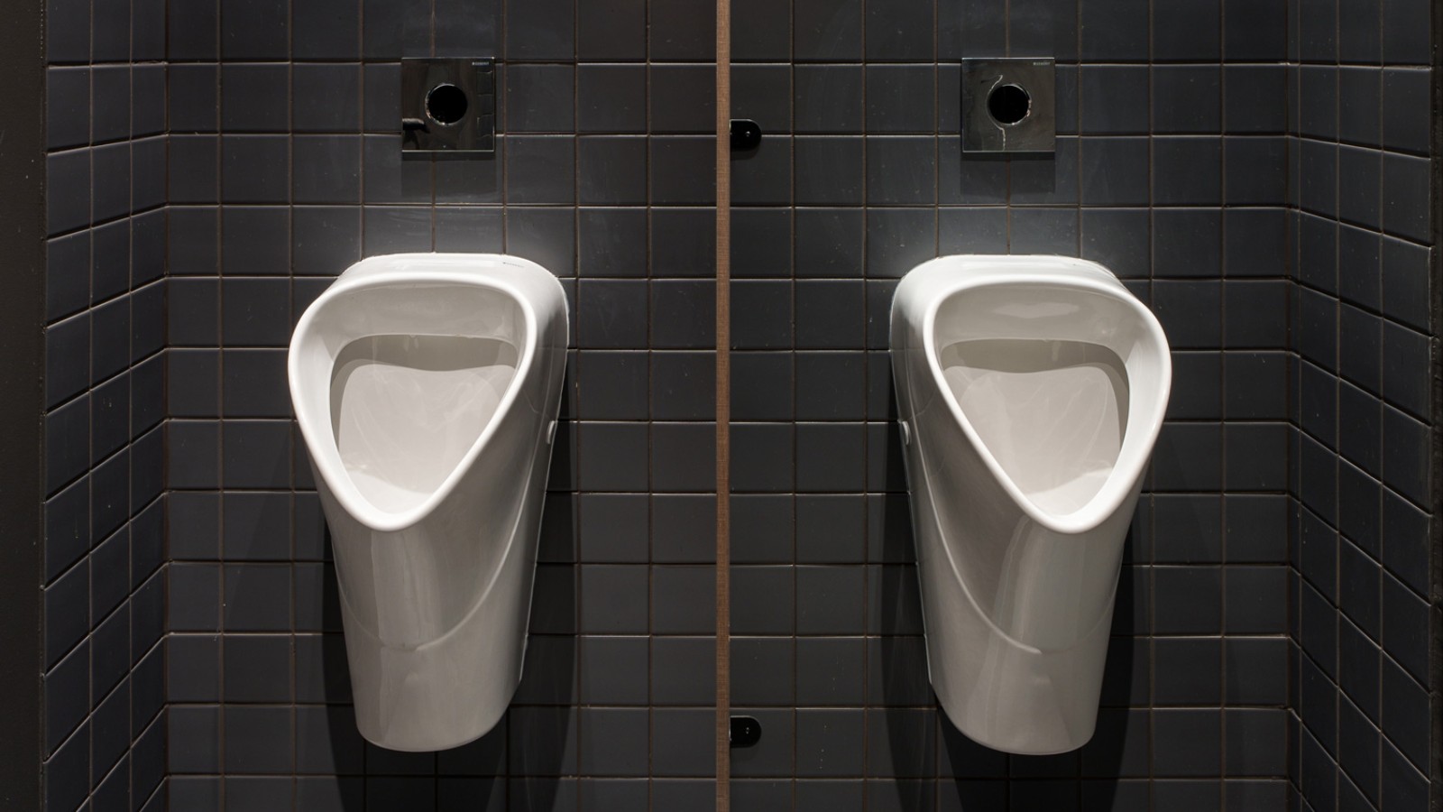 Klassisch-elegant: die Urinal-Keramiken der Linie Selnova (© Jānis Salmanis)