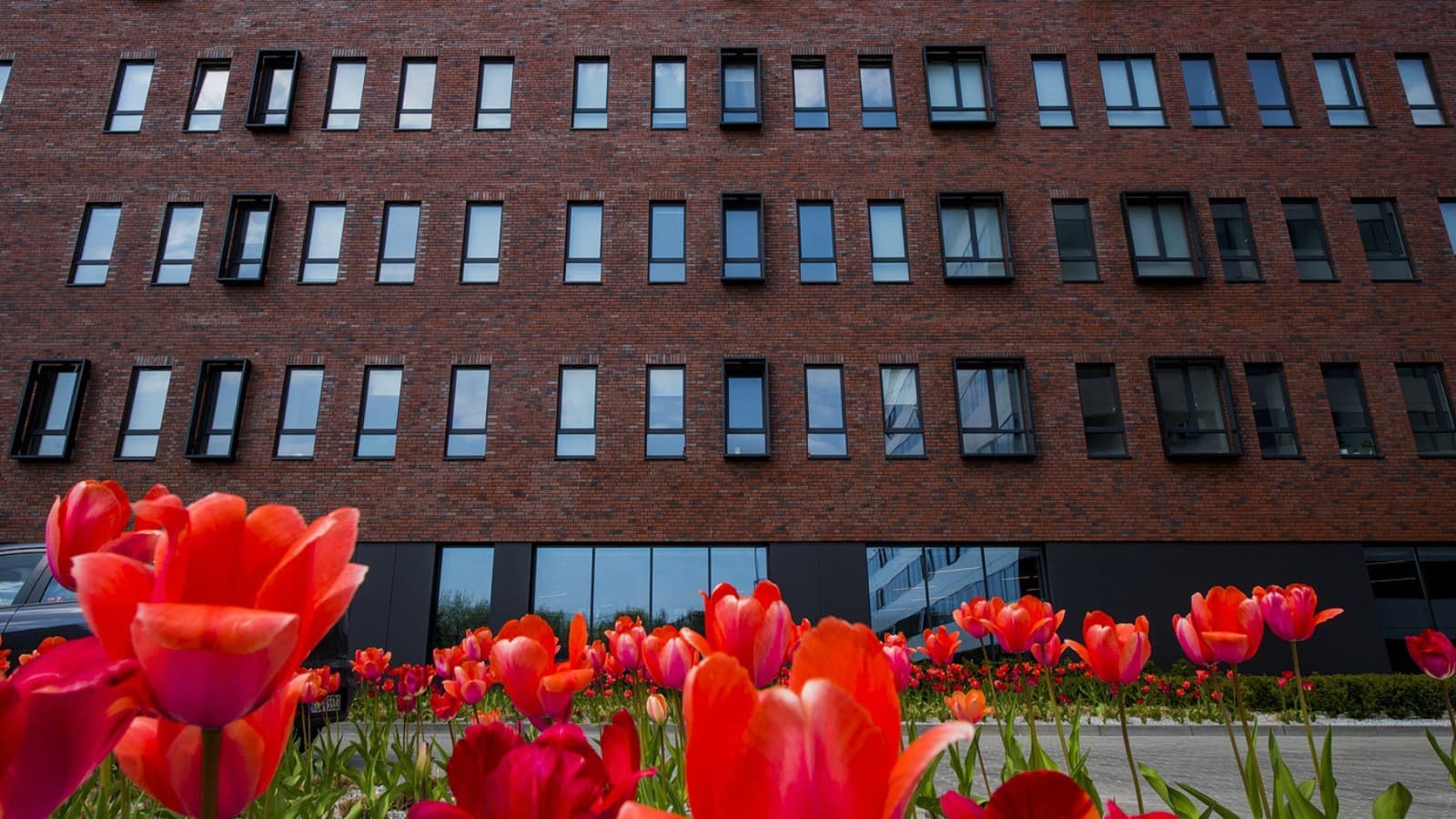 Früher ein Fabrikgebäude, heute ein Studentenheim: LivinnX in Krakau (PL) (© Jaroslaw Kakal/Geberit) Früher ein Fabrikgebäude, heute ein Studentenheim: LivinnX in Krakau (PL) (© Jaroslaw Kakal/Geberit)